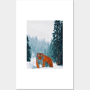 Tiger in Nepal - Landscape Posters and Art